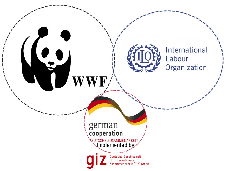 Labour & Social Standards Compliance